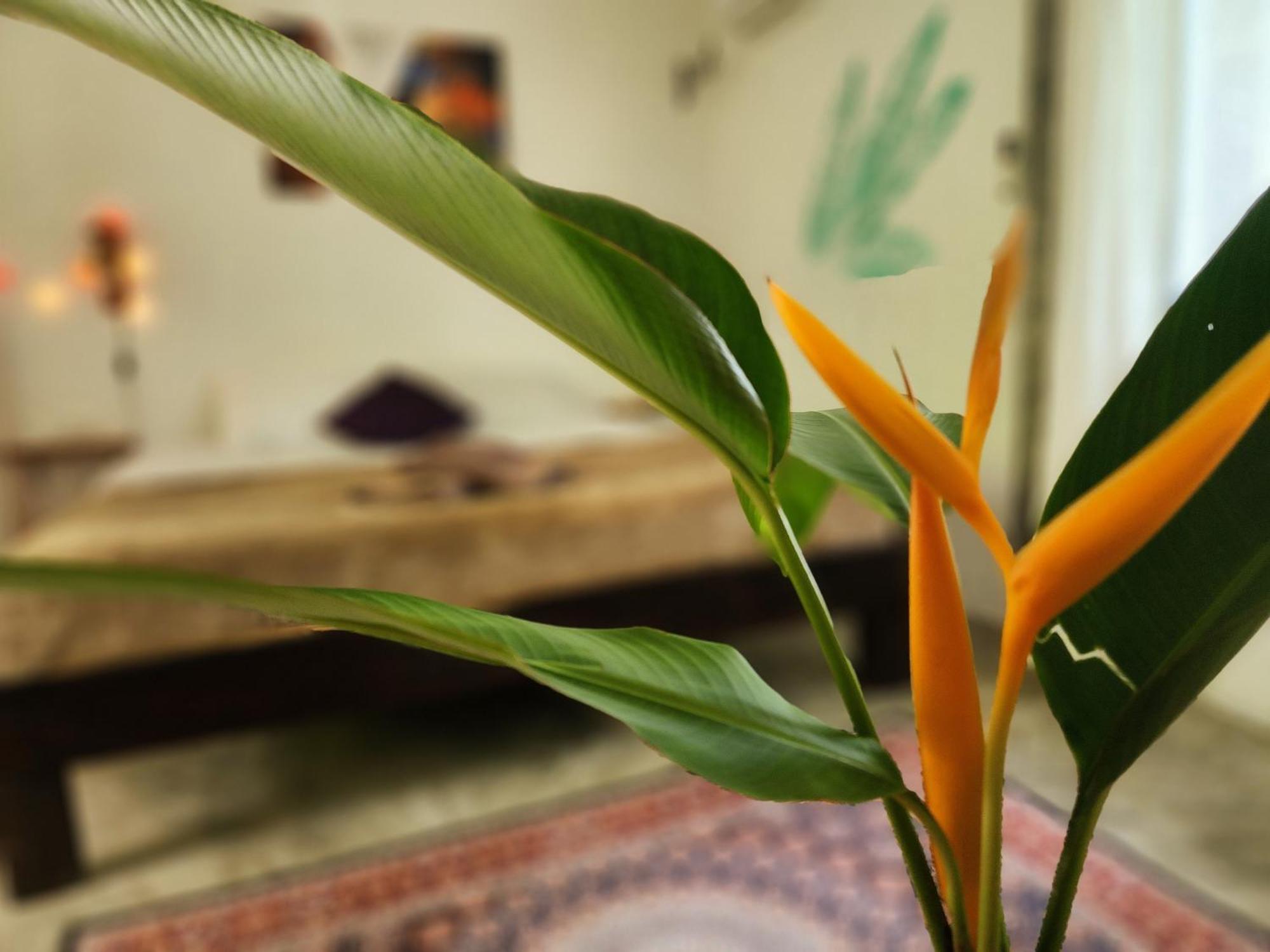 Feel Home No 3 Private House 2Br บ้านหินกอง ภายนอก รูปภาพ